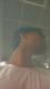 View Gay Profile Picture